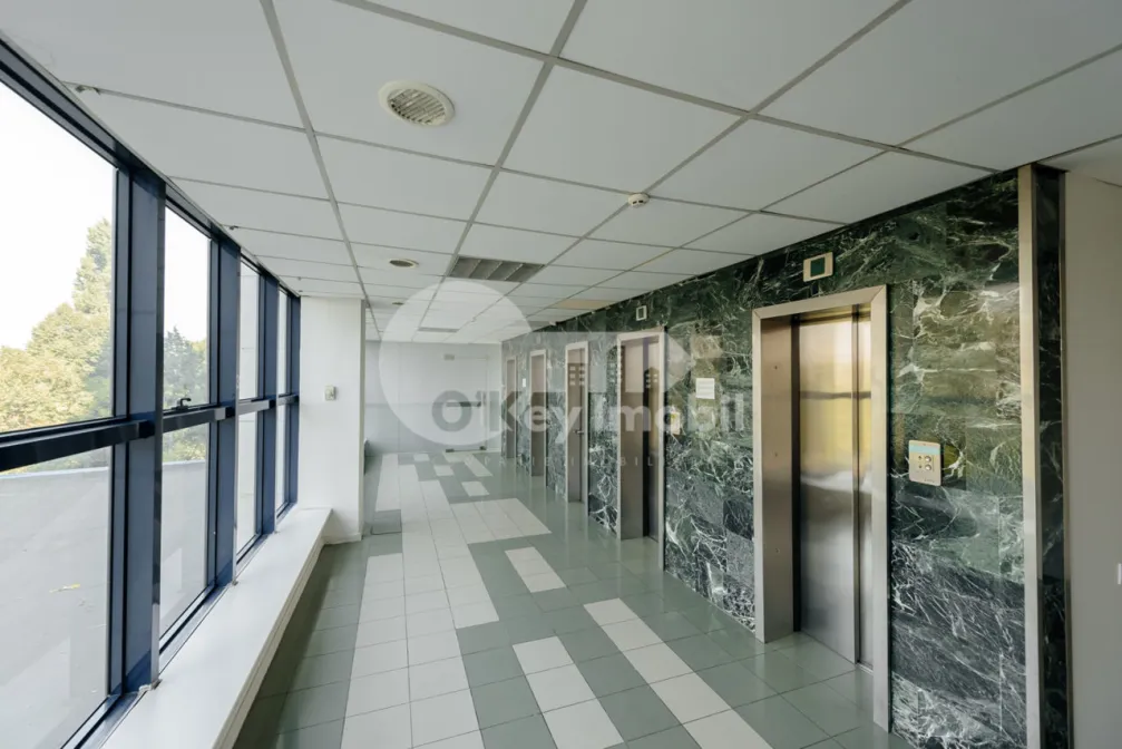 Oficiu, Centru, ȘTEFAN CEL MARE