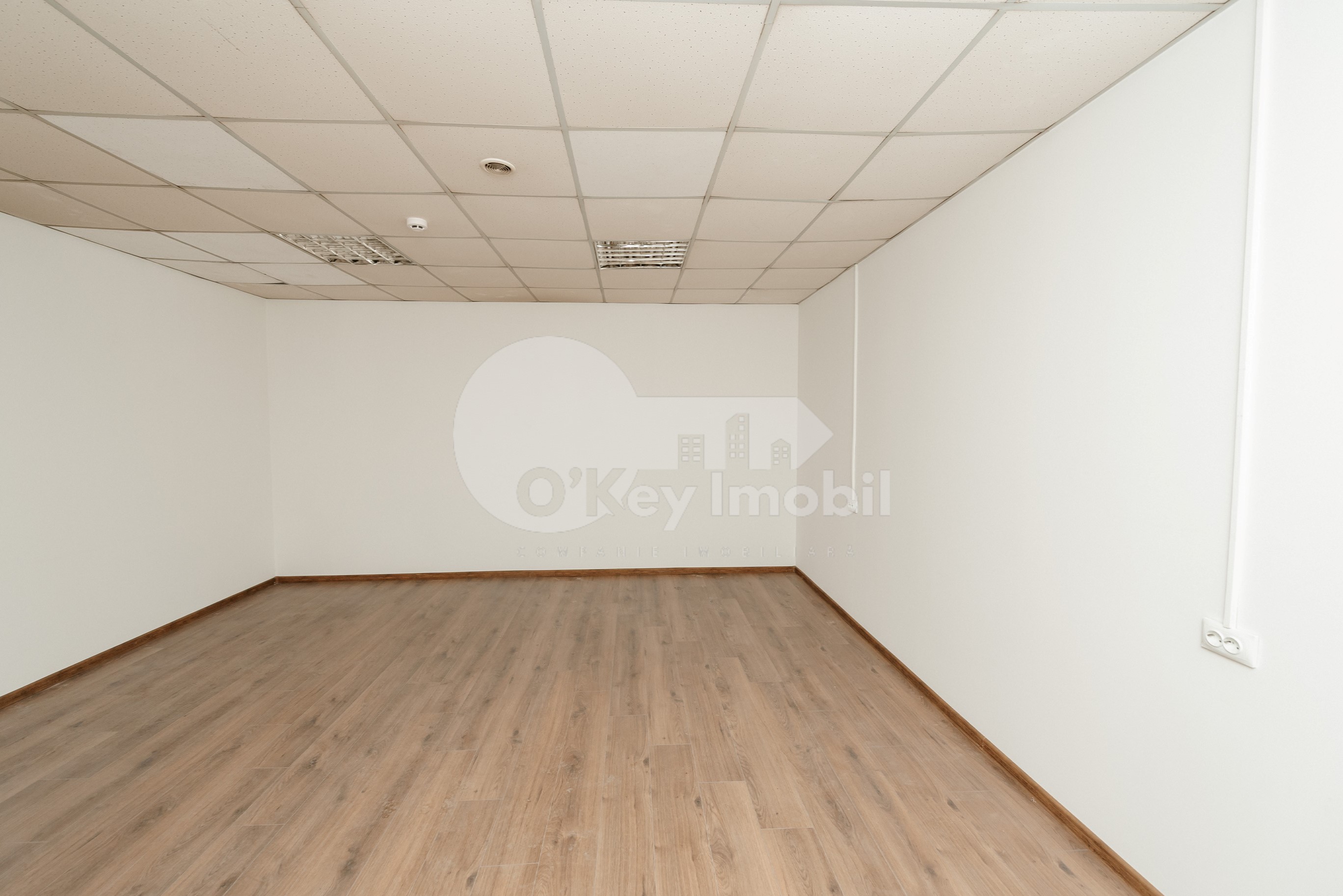 Depozit, Buiucani, ALBA IULIA