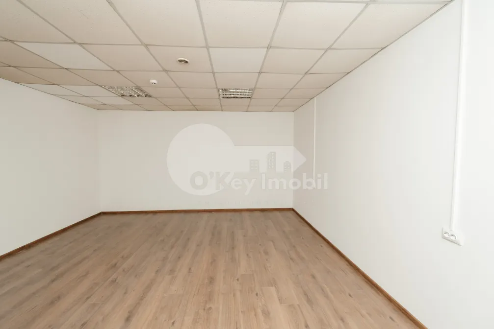 Склад, Буюканы, АЛБА ЮЛИЯ