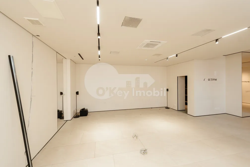 Комм. помещение, Центр, ШТЕФАН ЧЕЛ МАРЕ