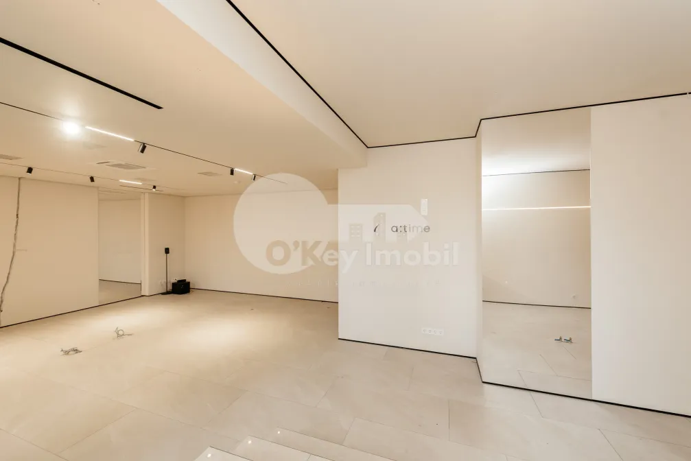 Комм. помещение, Центр, ШТЕФАН ЧЕЛ МАРЕ