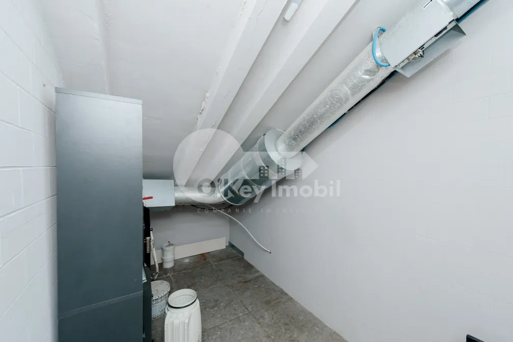 Комм. помещение, Центр, ШТЕФАН ЧЕЛ МАРЕ