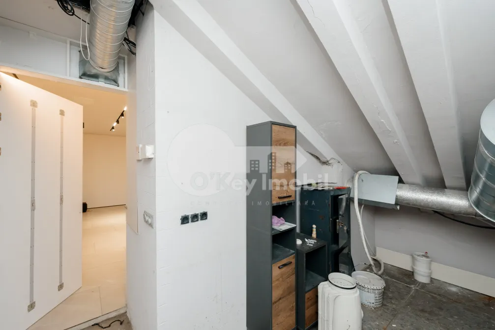 Комм. помещение, Центр, ШТЕФАН ЧЕЛ МАРЕ