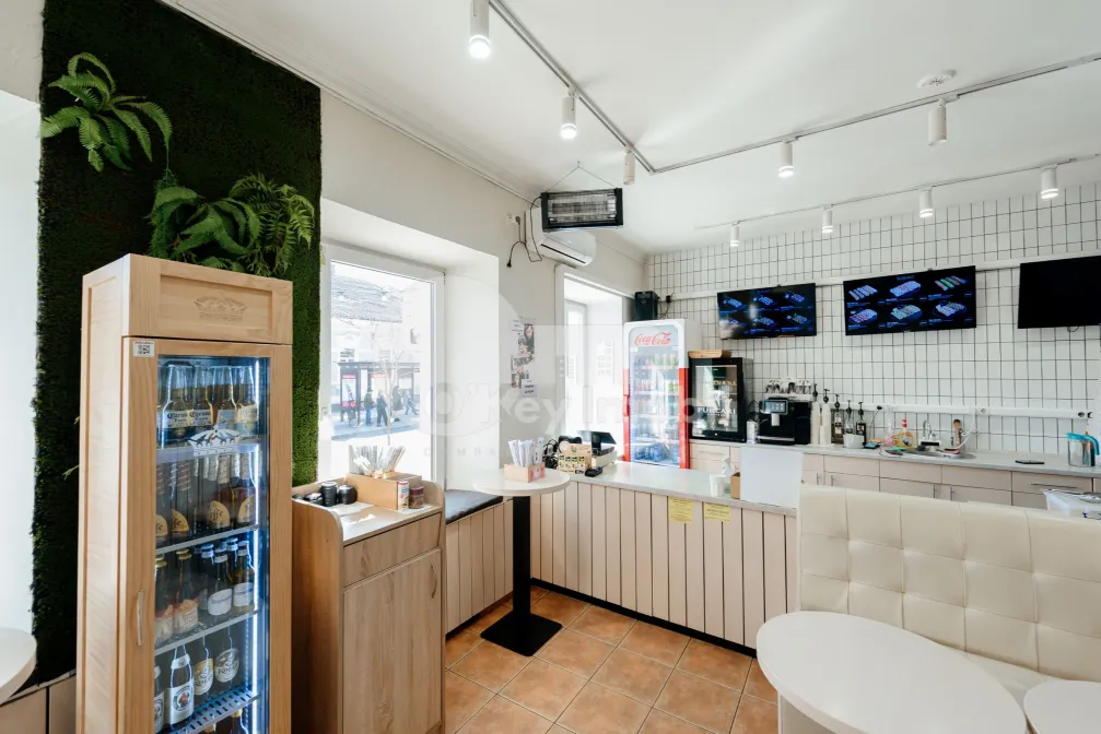 Spațiu comercial, Centru, ALEXANDR PUȘKIN