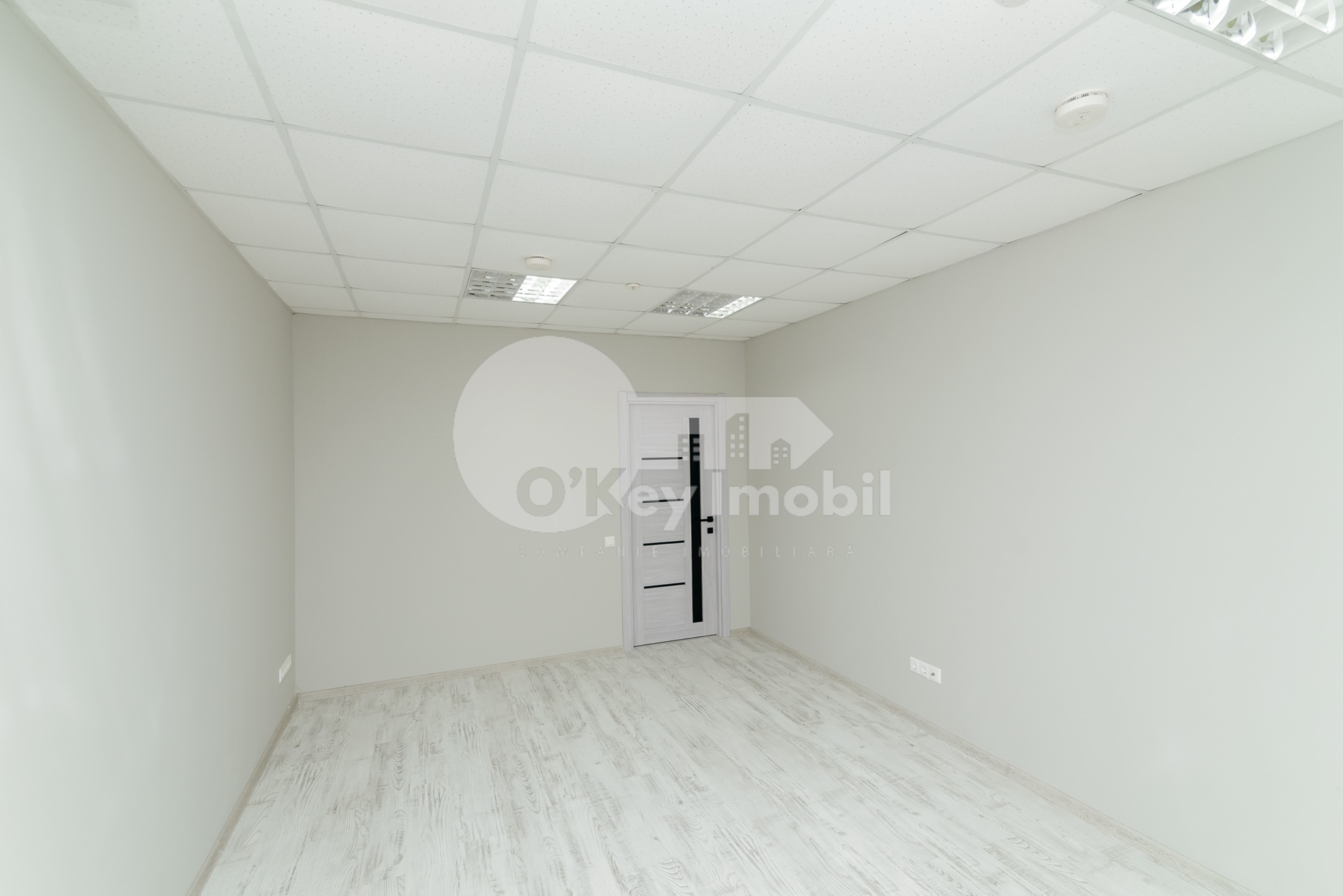 Oficiu, Centru, PETRU MOVILĂ