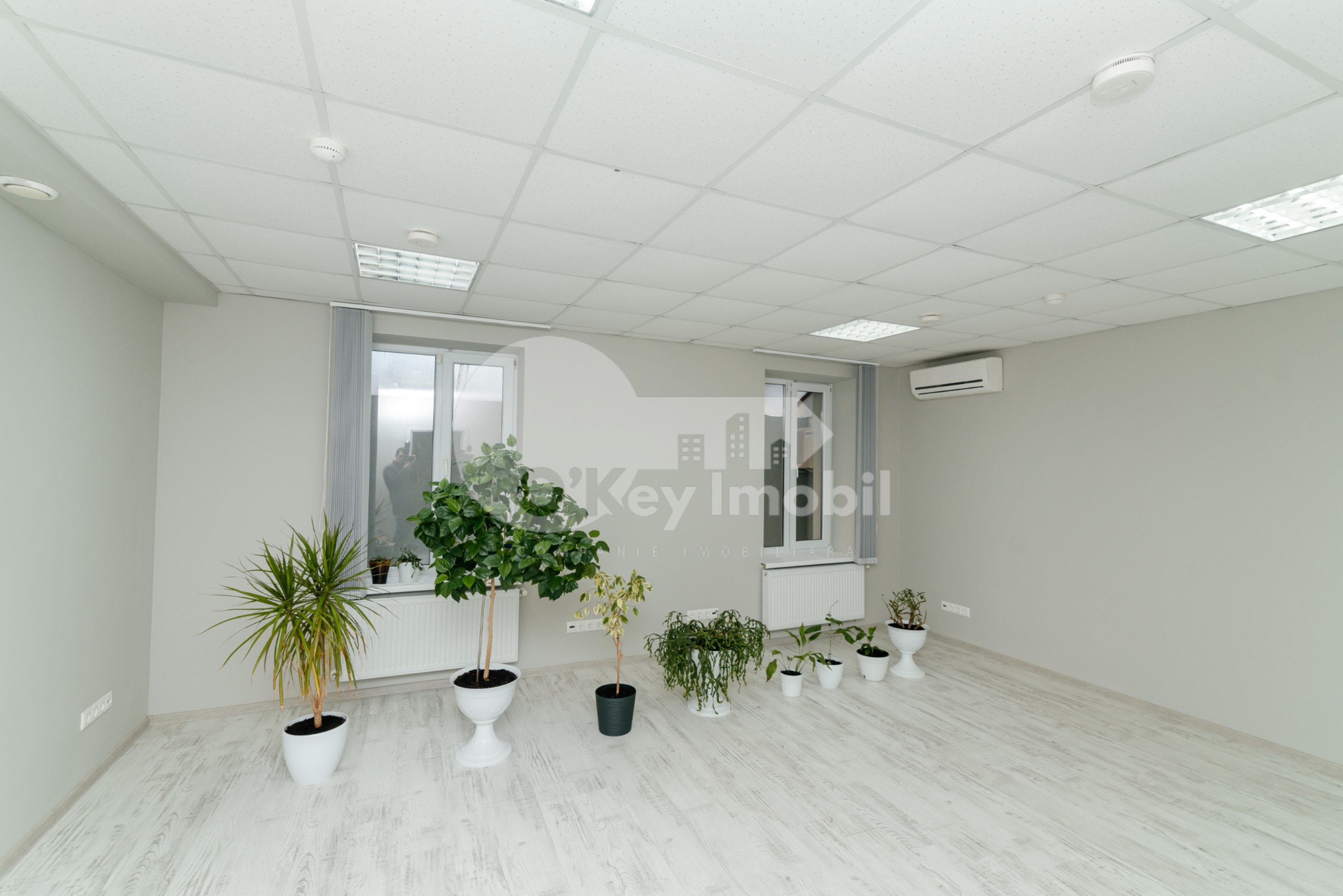 Oficiu, Centru, PETRU MOVILĂ