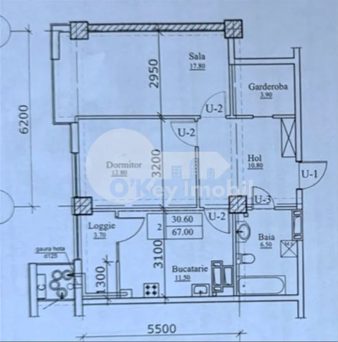 Apartament, Botanica, GRĂDINA BOTANICĂ