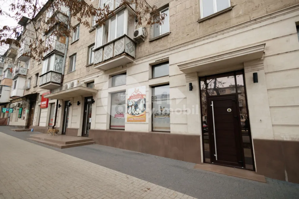 Oficiu, Centru, GRIGORE VIERU