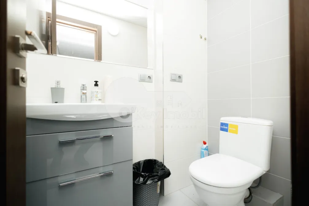 Oficiu, Centru, GRIGORE VIERU