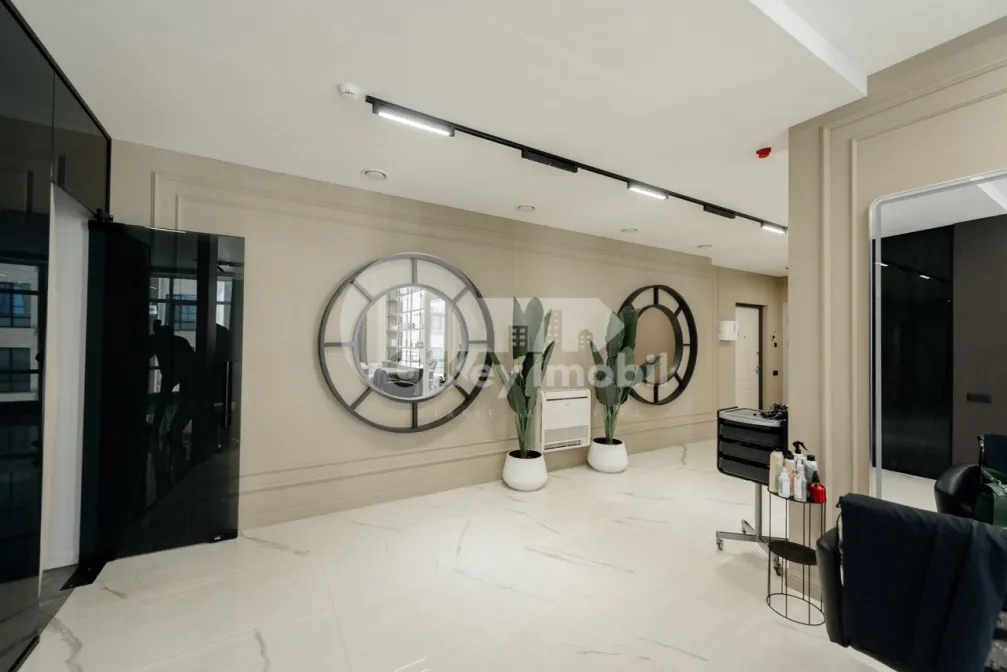 Комм. помещение, Центр, МИХАЙ ЕМИНЕСКУ