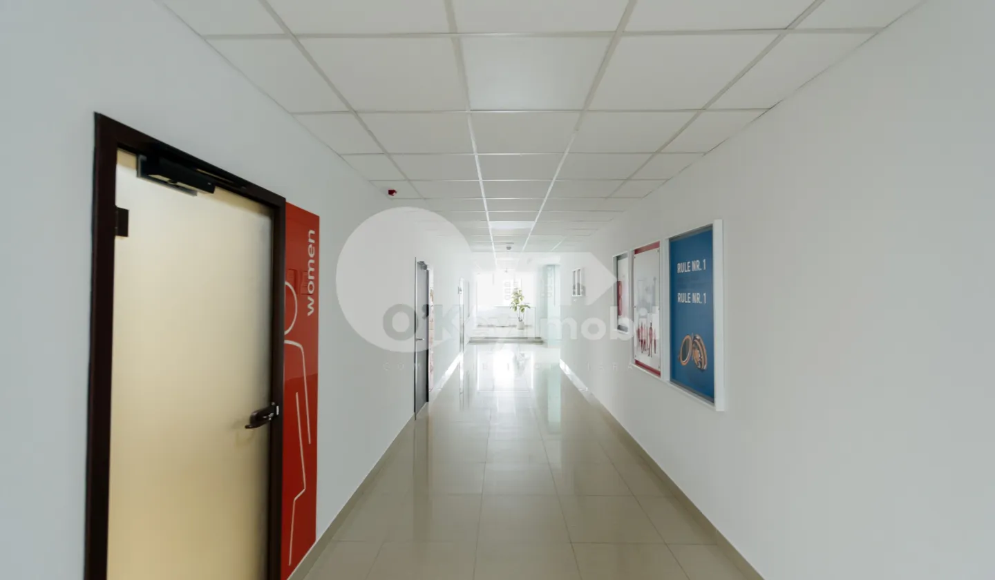 Oficiu, Buiucani, CALEA IEȘILOR