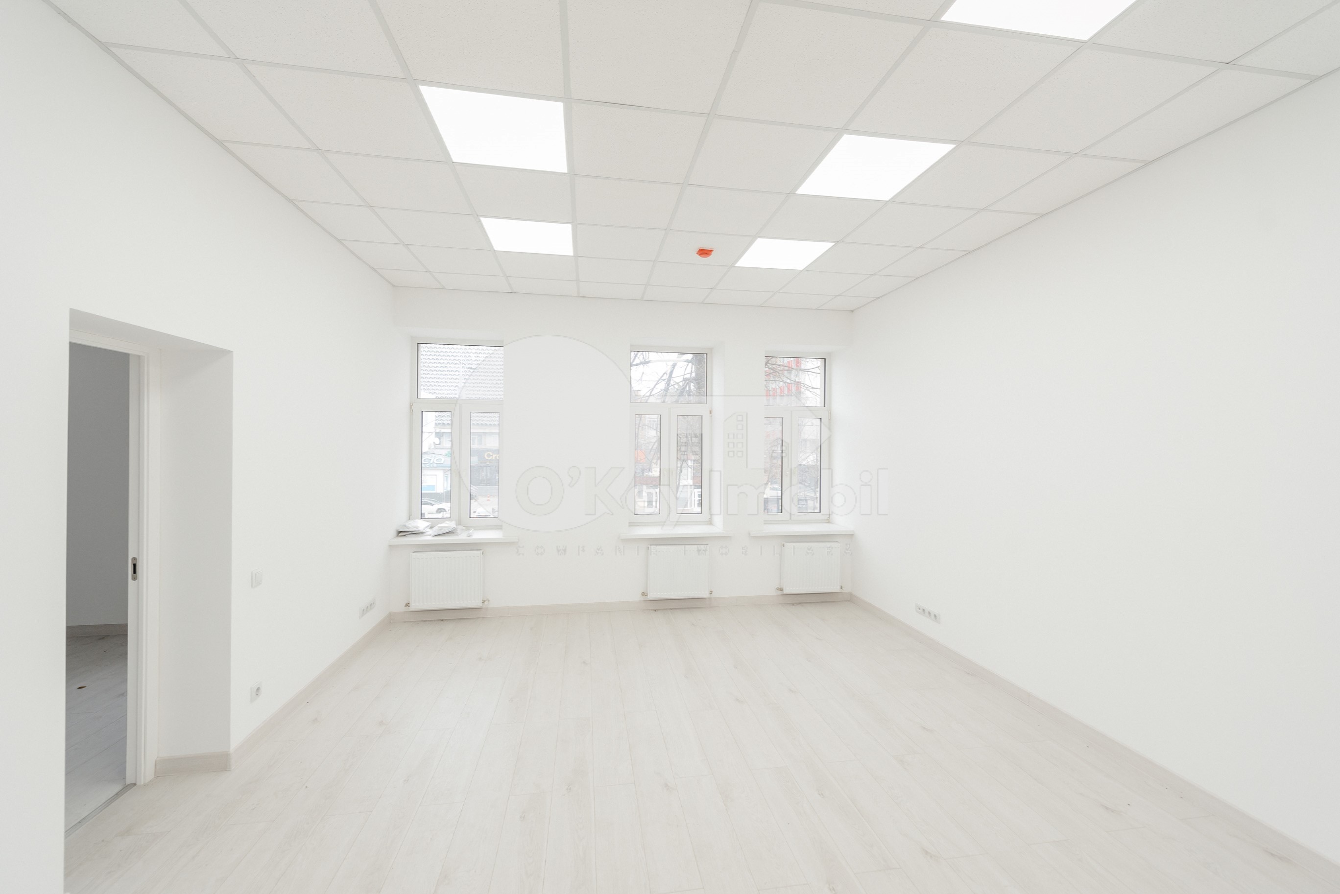 Spațiu comercial, Centru, ȘTEFAN CEL MARE