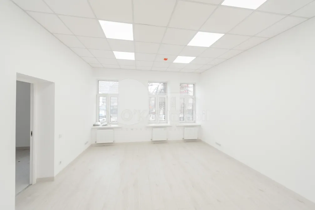 Spațiu comercial, Centru, ȘTEFAN CEL MARE