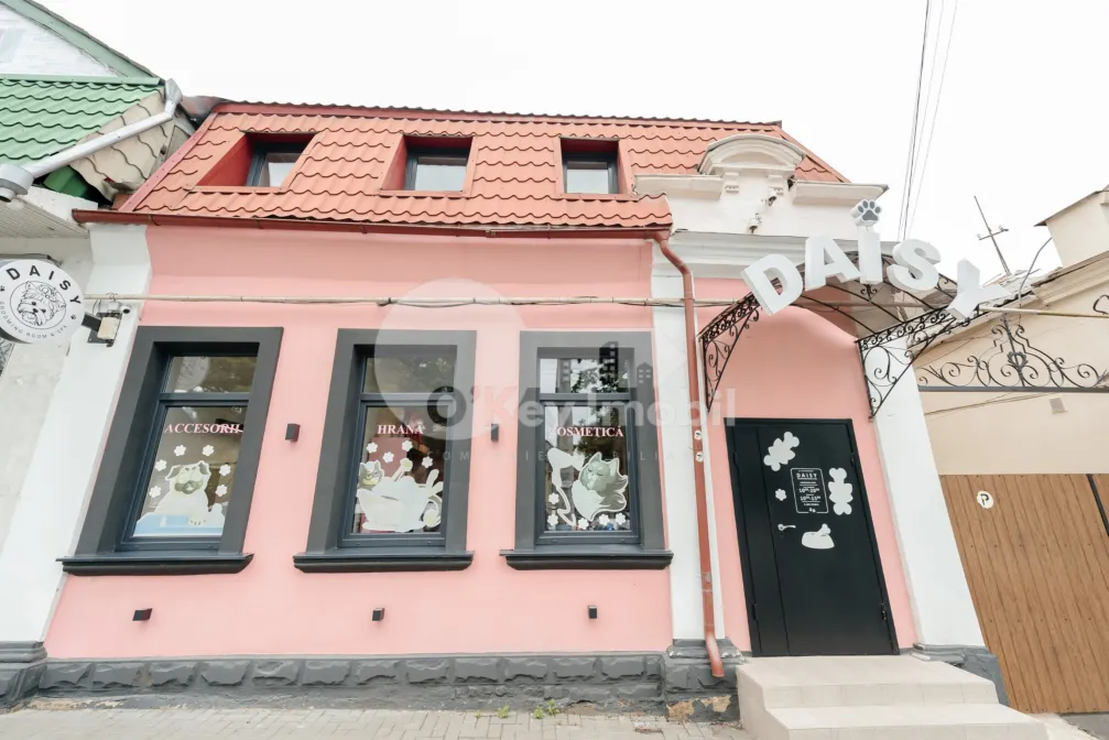 Spațiu comercial, Centru, VASILE ALECSANDRI