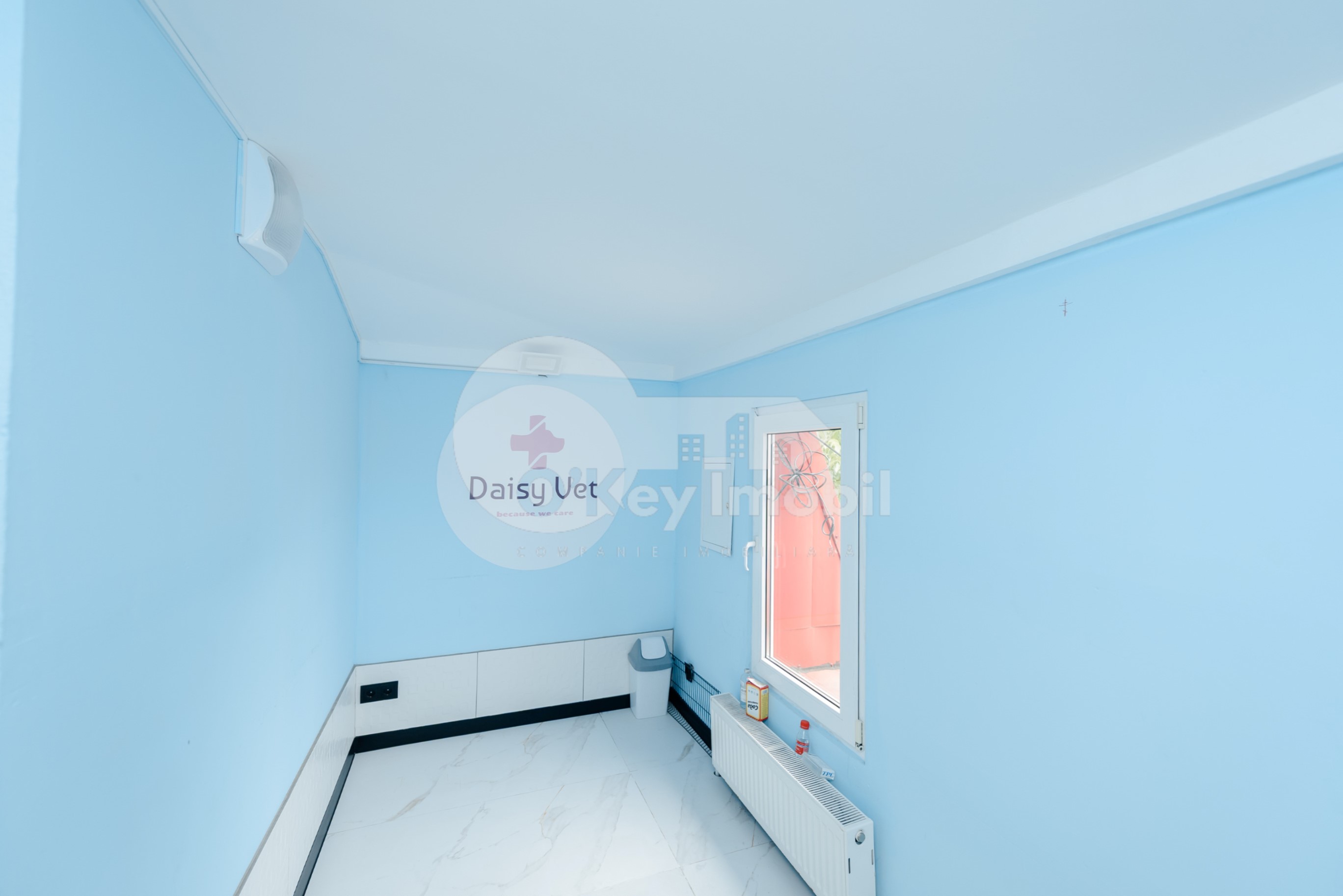 Spațiu comercial, Centru, VASILE ALECSANDRI