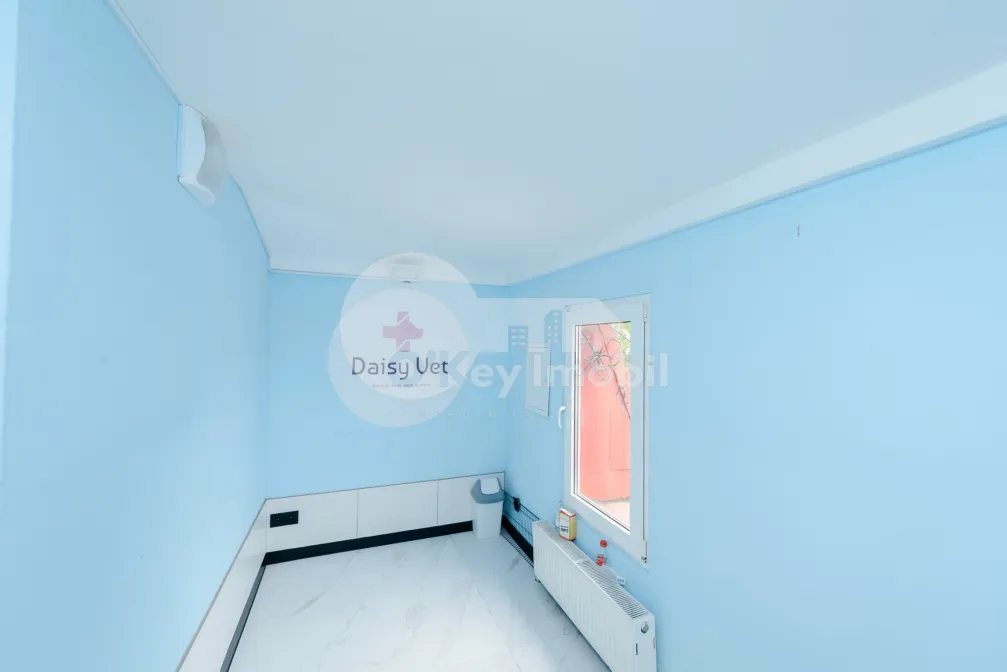 Spațiu comercial, Centru, VASILE ALECSANDRI