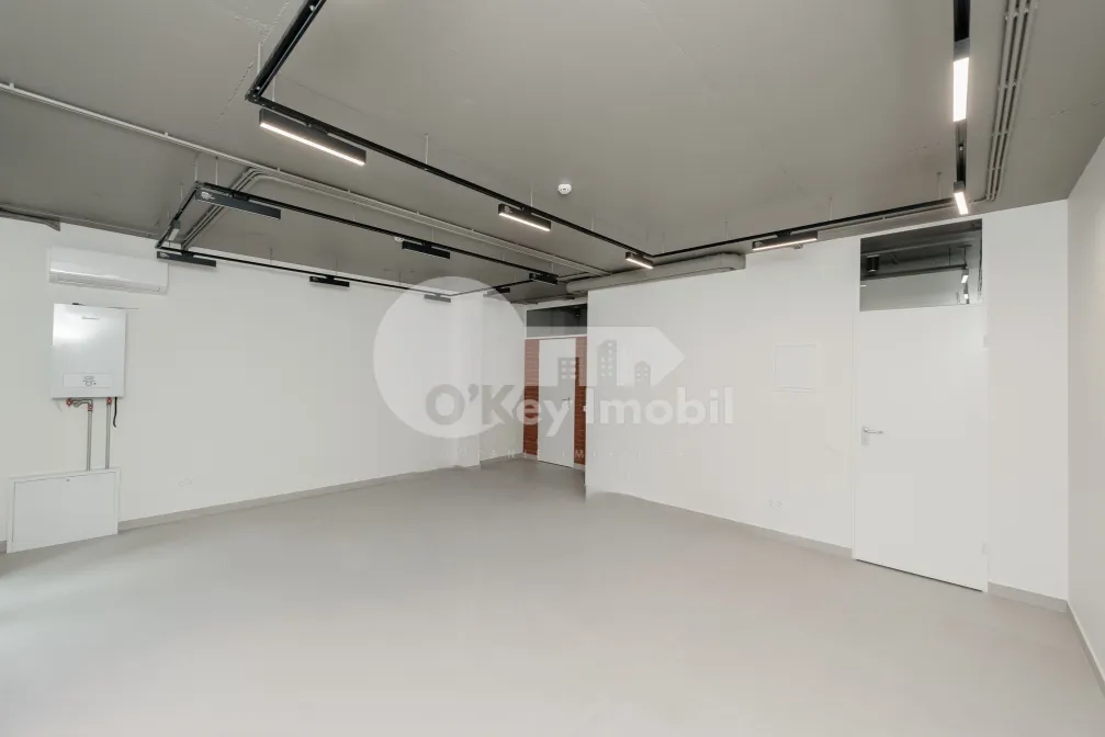 Комм. помещение, Центр, ТЕСТЕМИЦАНУ