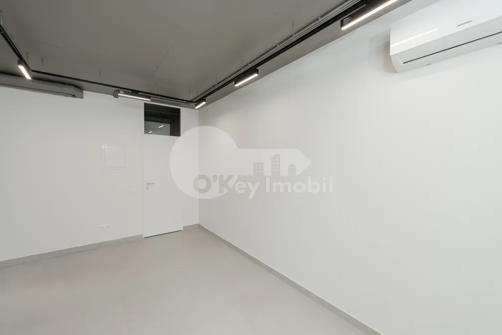 Комм. помещение, Центр, ТЕСТЕМИЦАНУ