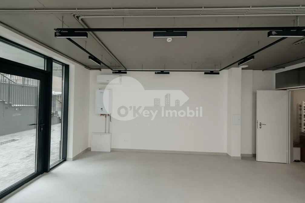 Комм. помещение, Центр, ТЕСТЕМИЦАНУ