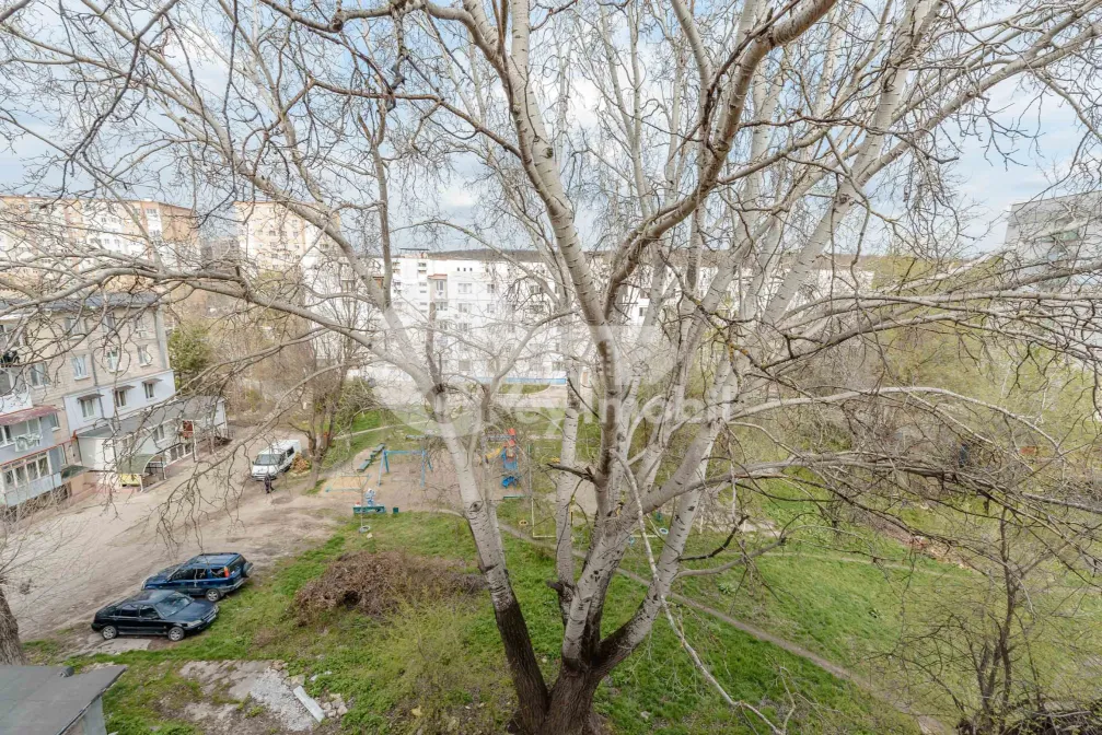 Квартира, Ботаника, КОСТЮЖЕНЬ