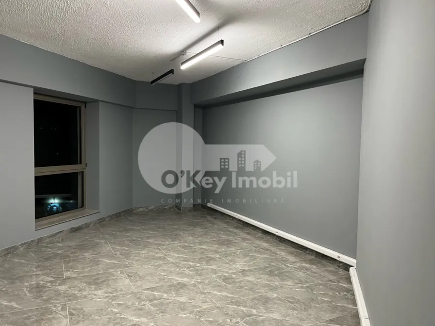 Офис, Ботаника, ДЕЧЕБАЛ