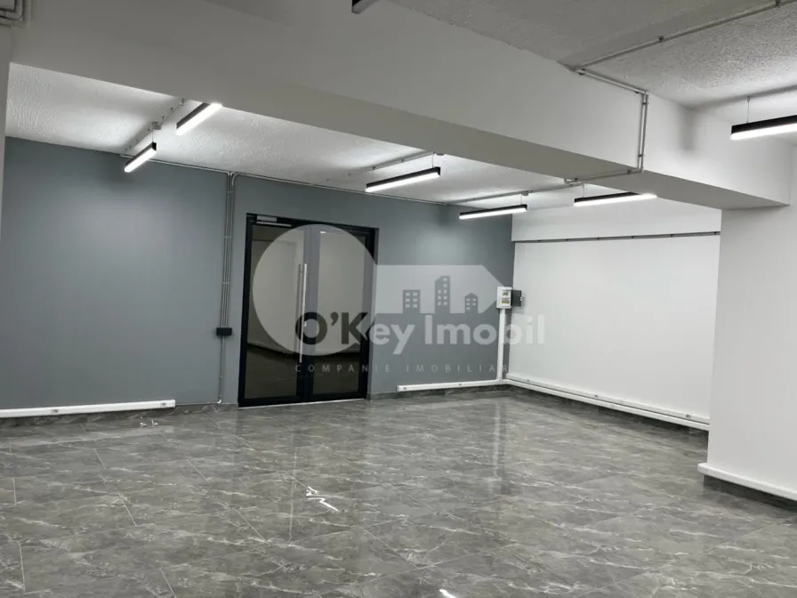 Офис, Ботаника, ДЕЧЕБАЛ