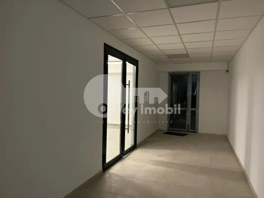 Офис, Ботаника, ДЕЧЕБАЛ