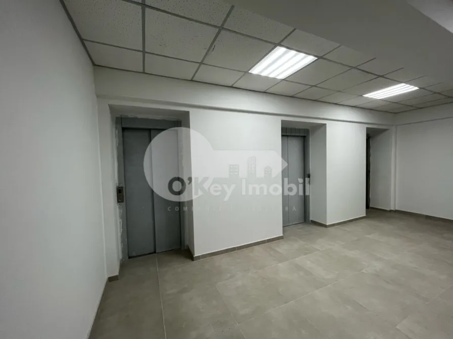 Офис, Ботаника, ДЕЧЕБАЛ