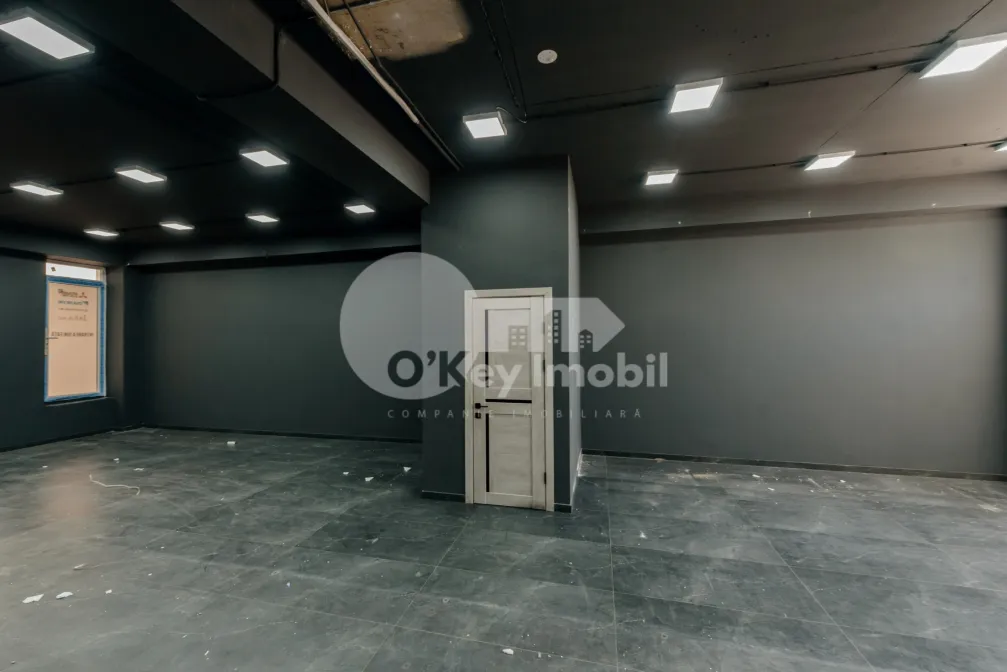 Комм. помещение, Чеканы, НИКОЛАЕ МИЛЕСКУ СПЭТАРУ