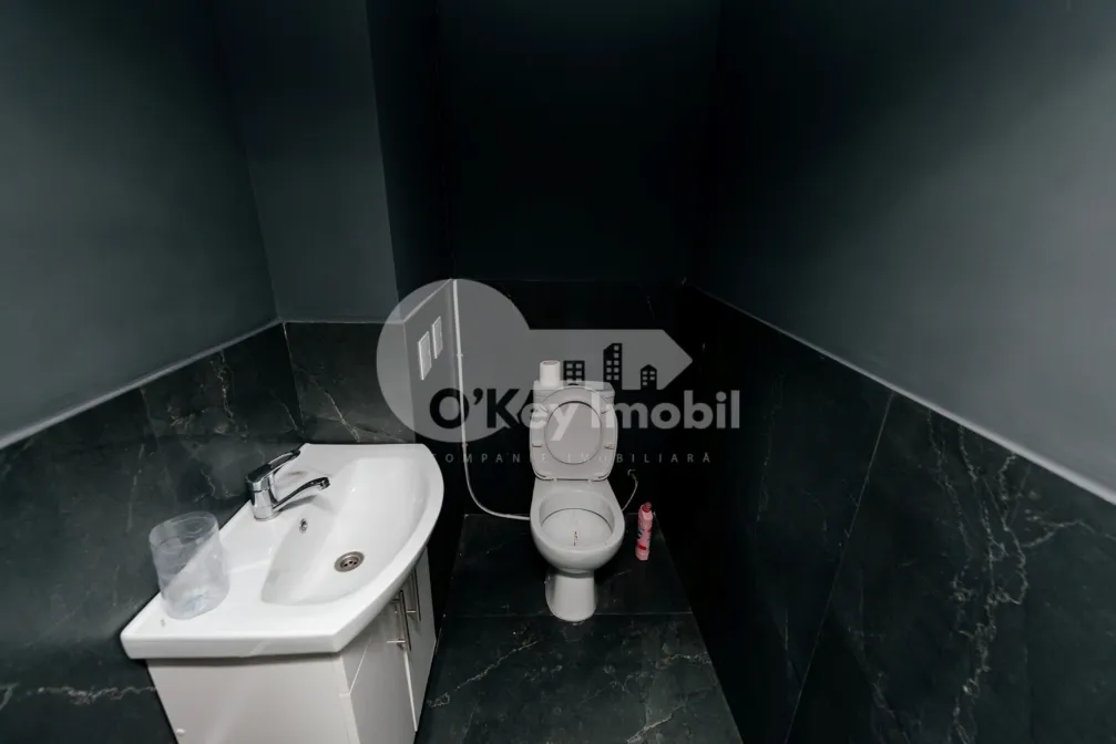 Комм. помещение, Чеканы, НИКОЛАЕ МИЛЕСКУ СПЭТАРУ