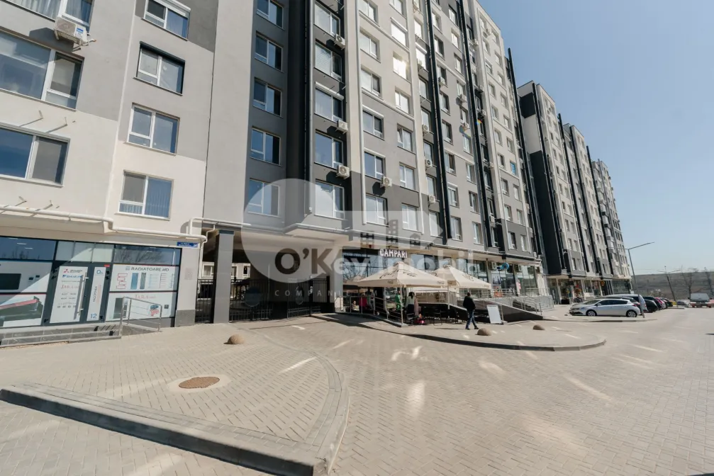 Комм. помещение, Чеканы, НИКОЛАЕ МИЛЕСКУ СПЭТАРУ