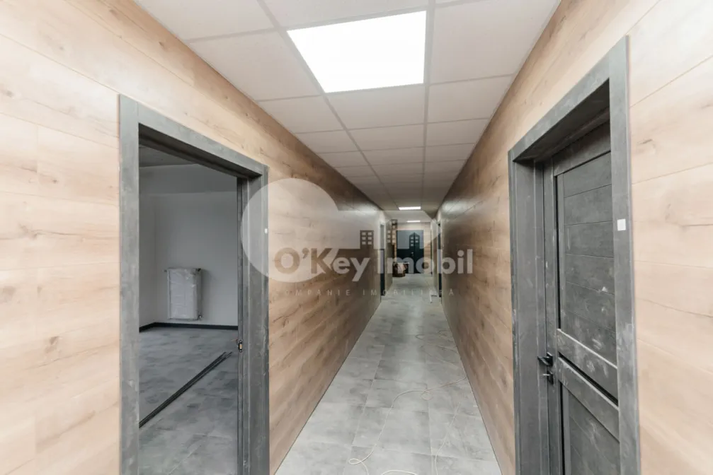 Oficiu, Centru, COLUMNA