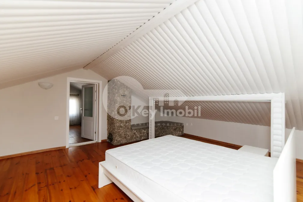 Spațiu comercial, Centru, COJOCARILOR