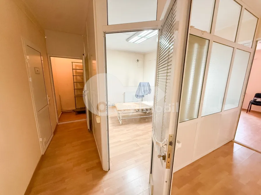 Spațiu comercial, Botanica, CONSTANTIN BRÂNCUȘI