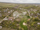 Teren, DUMBRAVA