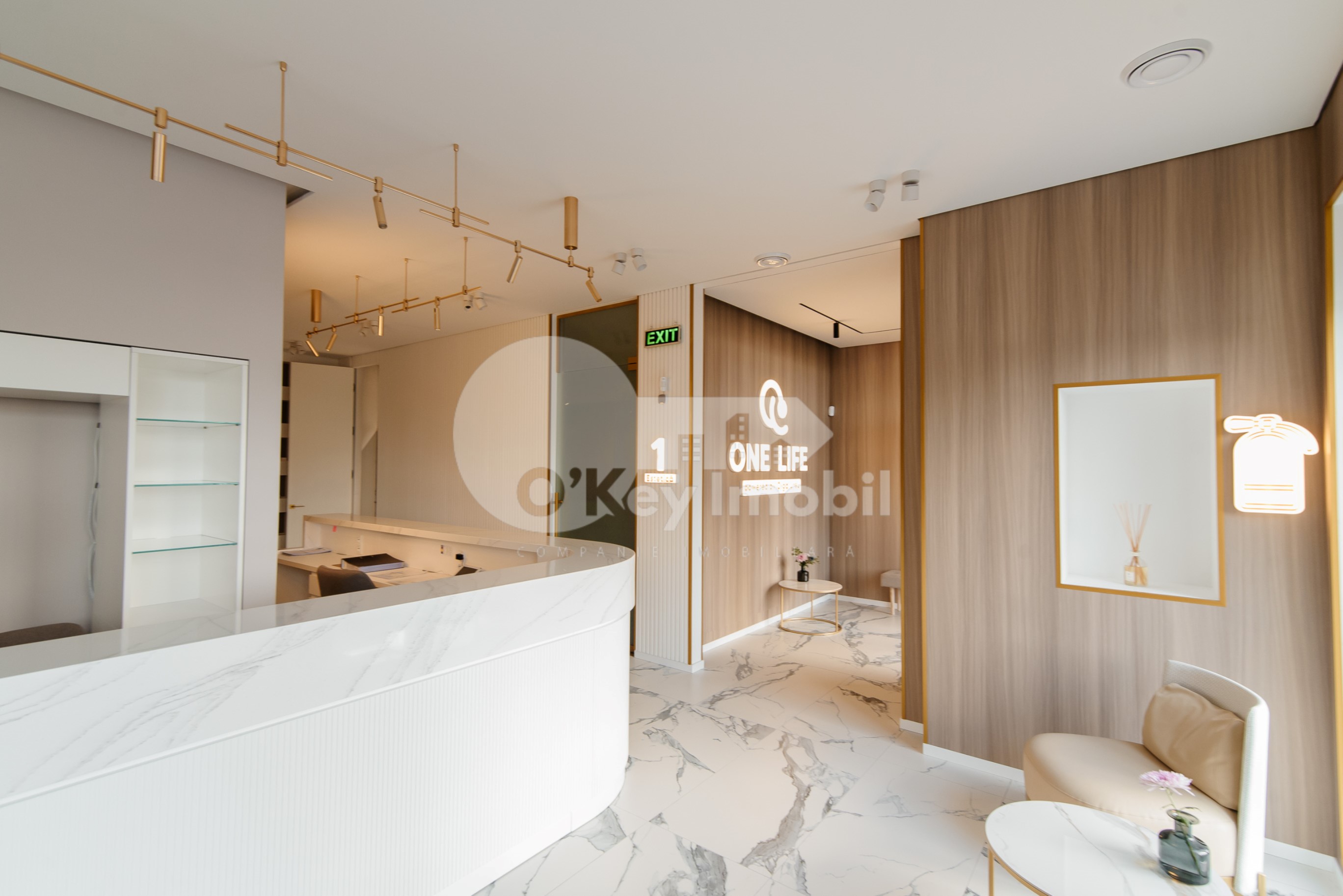 Spațiu comercial, Centru, ION NISTOR