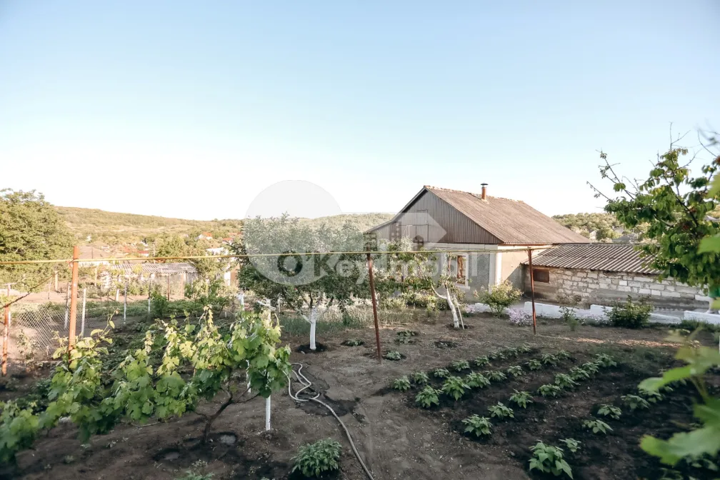 Дом, МИЛЕШТИЙ МИЧЬ