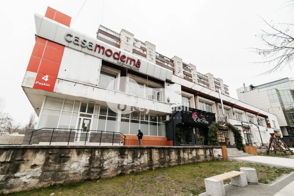 Oficiu, Centru, ALEXANDR PUȘKIN