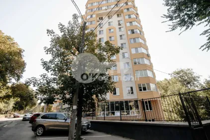 Офис, Рышкановка, Н. ДИМО