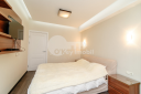 Apartament, Centru, LEV TOLSTOI