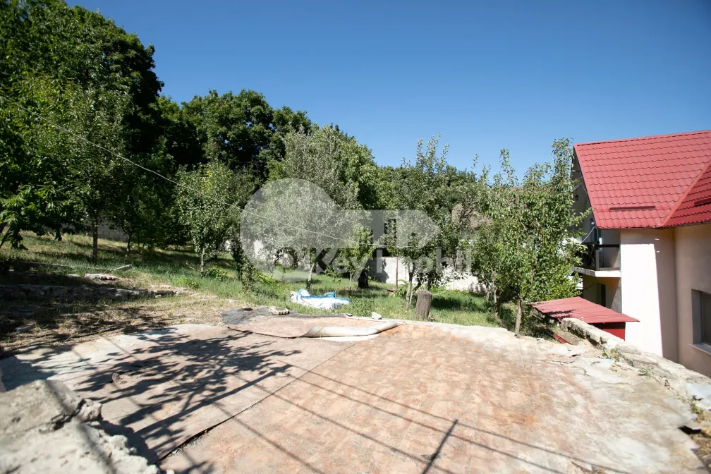 Дом, БОТАНИКА