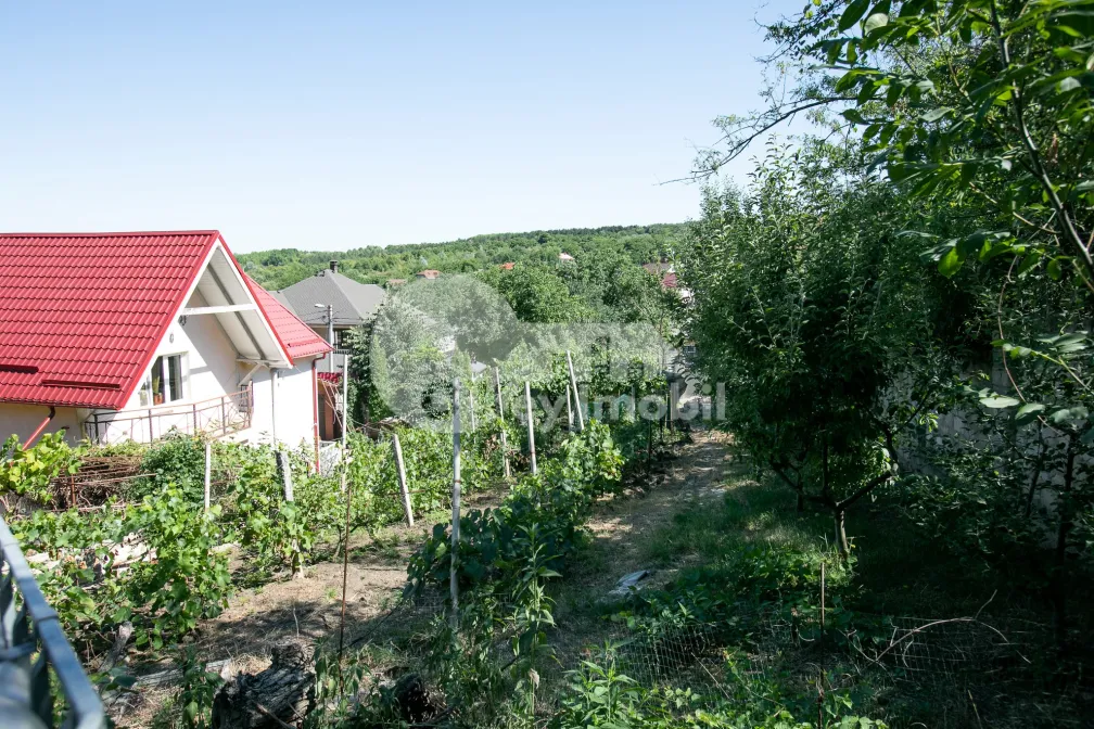 Дом, БОТАНИКА