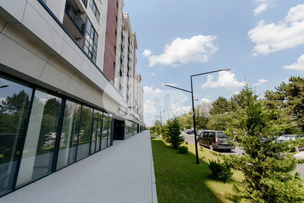 Spațiu comercial, Botanica, DACIA
