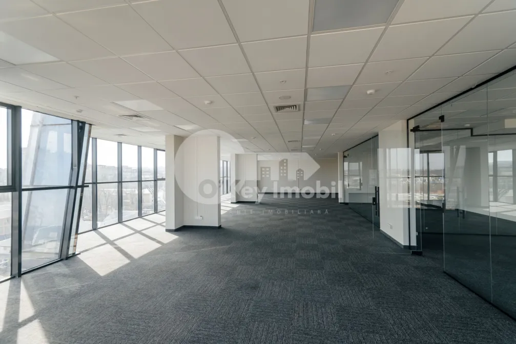 Oficiu, Centru, MIHAI VITEAZUL