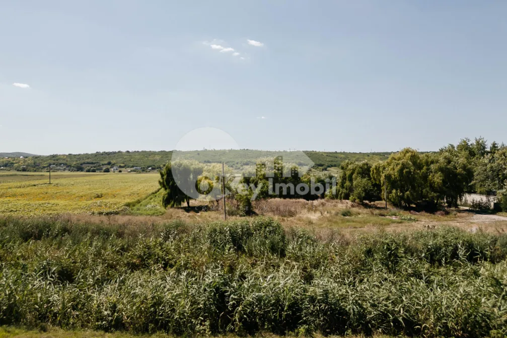 Teren, BĂCIOI
