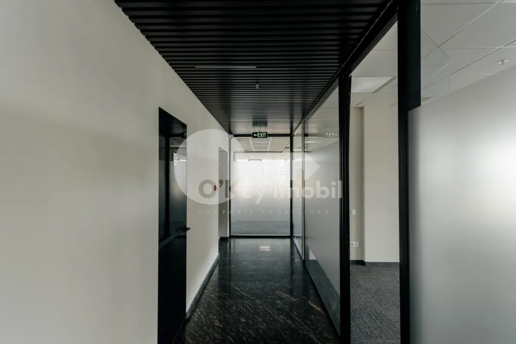 Oficiu, Centru, MIHAI VITEAZUL