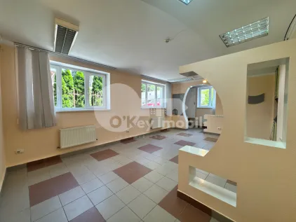 Spațiu comercial, Botanica, NIKOLAI ZELINSKI