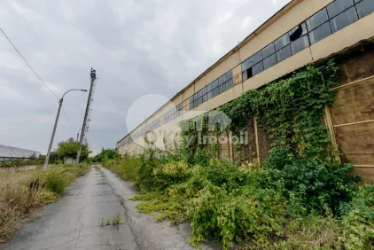 Depozit industrial, Sîngera