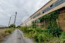 Depozit industrial, Sîngera