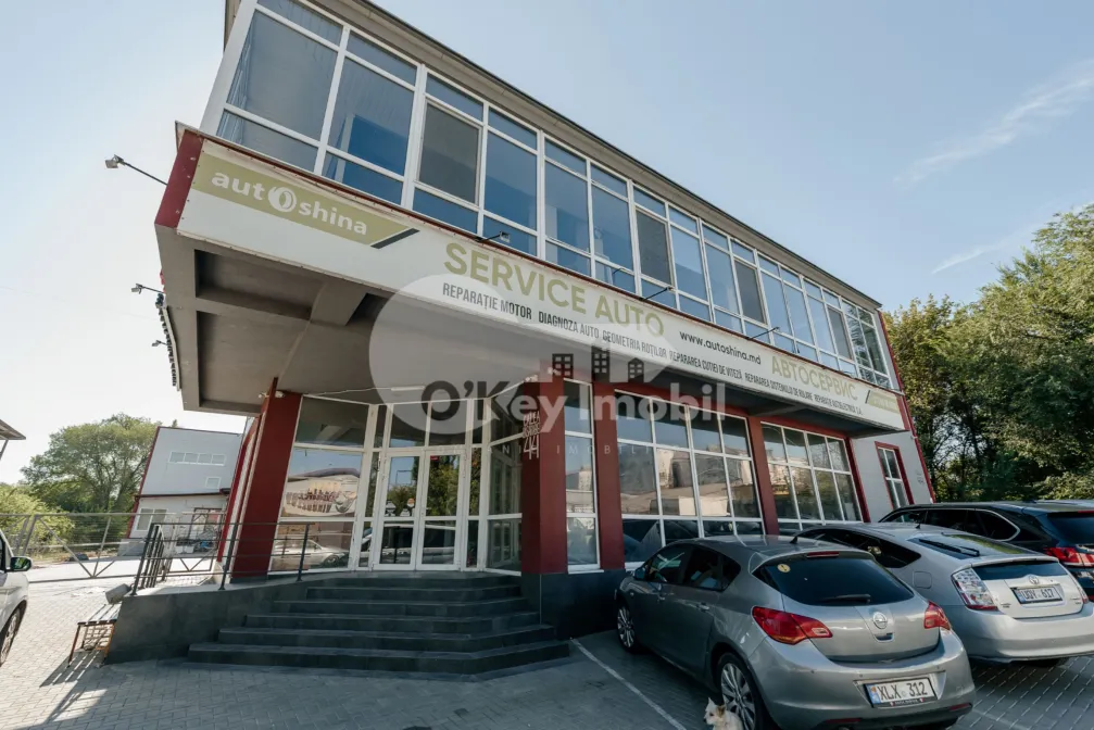 Oficiu, Botanica, CALEA BASARABIEI
